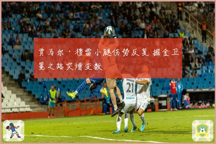 贾马尔·穆雷小腿伤势反复 掘金卫冕之路突增变数