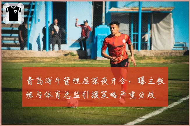 青岛海牛管理层深夜开会,曝主教练与体育总监引援策略严重分歧