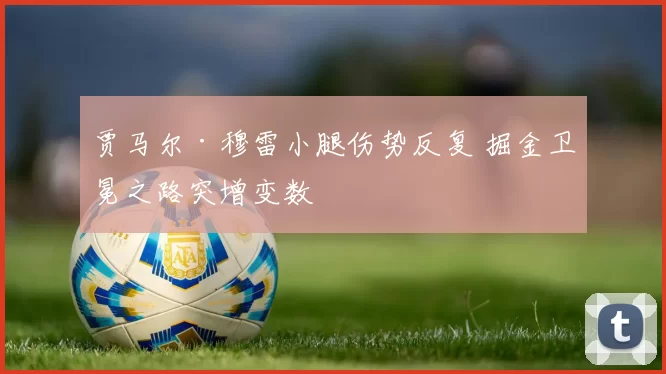 贾马尔·穆雷小腿伤势反复 掘金卫冕之路突增变数